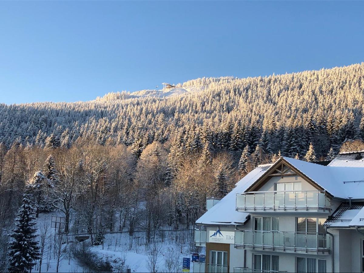 Apartment Czarna Gora Heudorf